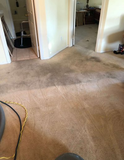 carpet cleaning upland/rancho